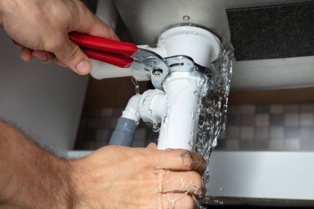 Best Mold removal after water damage  in Chambersburg, PA