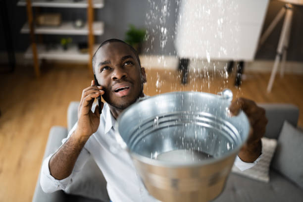 Best Flooded house restoration  in Chambersburg, PA