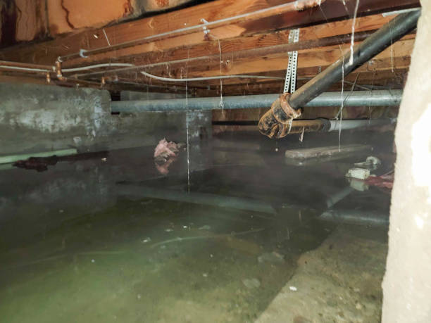 Best Flood damage cleanup  in Chambersburg, PA