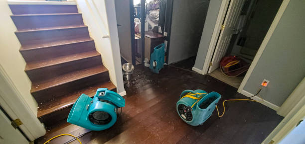 Best Water damage repair service  in Chambersburg, PA