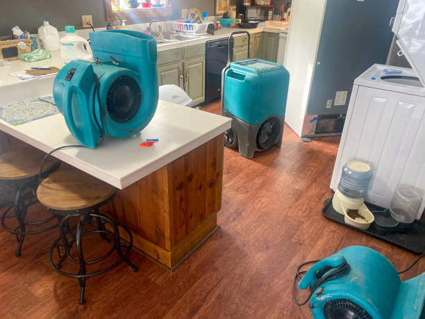 Best Local water damage restoration  in Chambersburg, PA