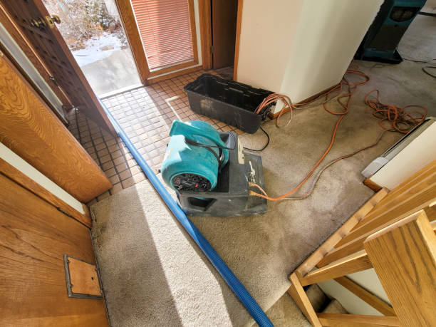 Best Carpet water damage restoration  in Chambersburg, PA