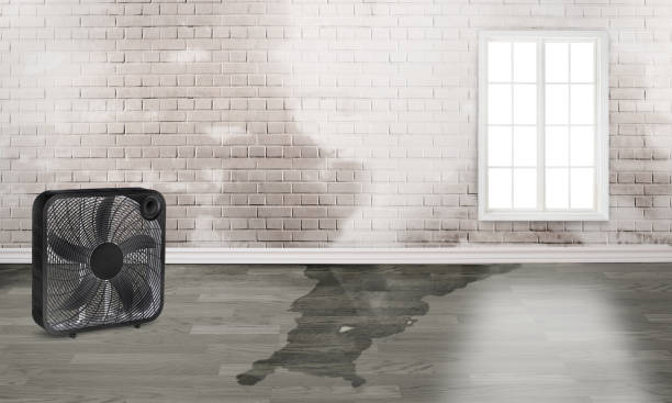 Best Water damage restoration company  in Chambersburg, PA