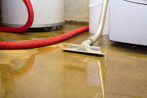 Best Water damage cleanup near me  in Chambersburg, PA