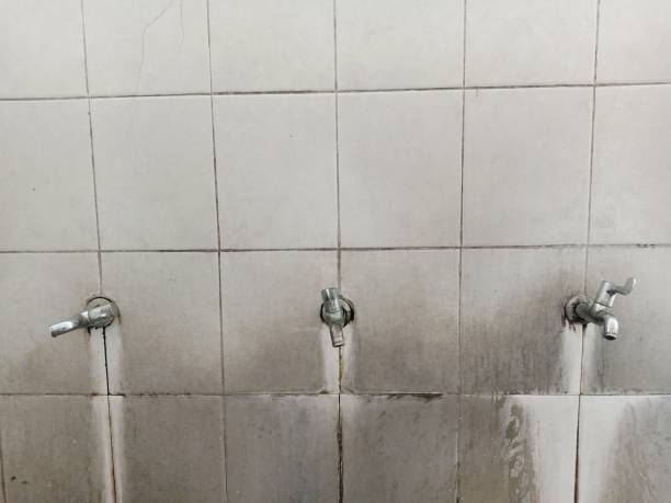 Best Professional water damage repair  in Chambersburg, PA
