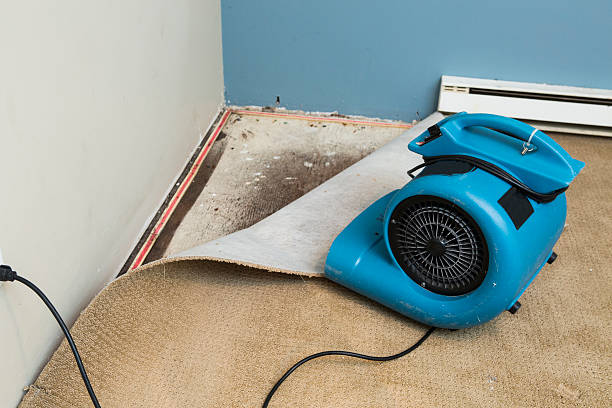 Best Professional water damage repair  in Chambersburg, PA
